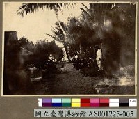 藏品(Jaluit Island 的原住民)的圖片